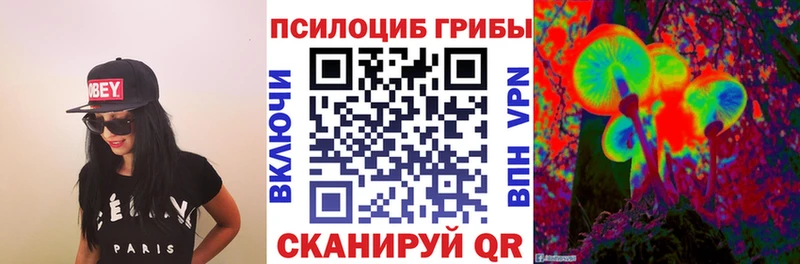 Псилоцибиновые грибы мухоморы  Купить закладки  Холмск 